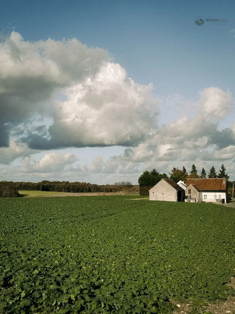 Le Rucher des Collines