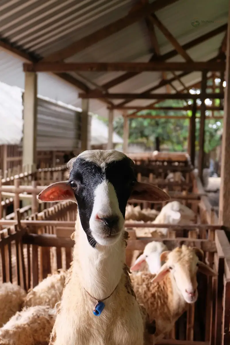 Les Jardins de Cornouaille