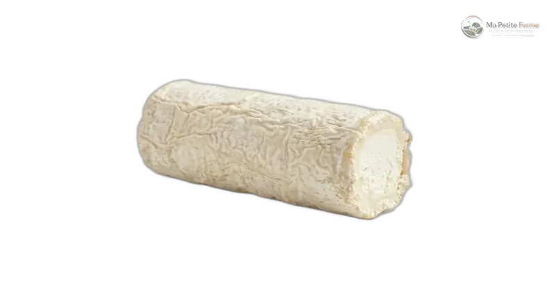 Bûche de chèvre