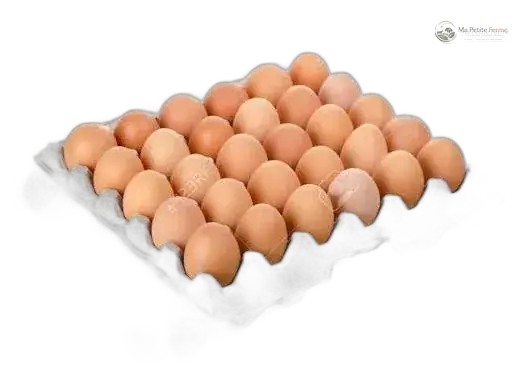 Plateau de 30 œufs