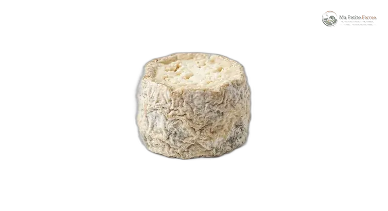 Fromage de chèvre fermier